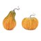 Melrose Pumpkin and Gourd Fall Harvest Decorations - 8.5" - Orange - Set of 2
